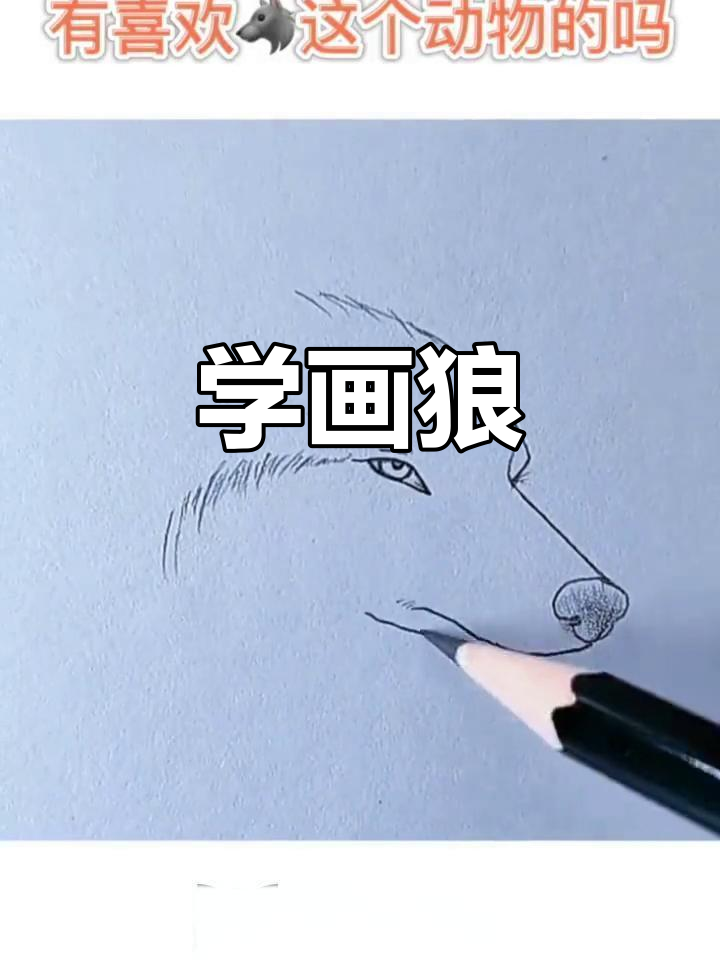 狼的简笔画教程