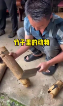 看样子下次可要注意了