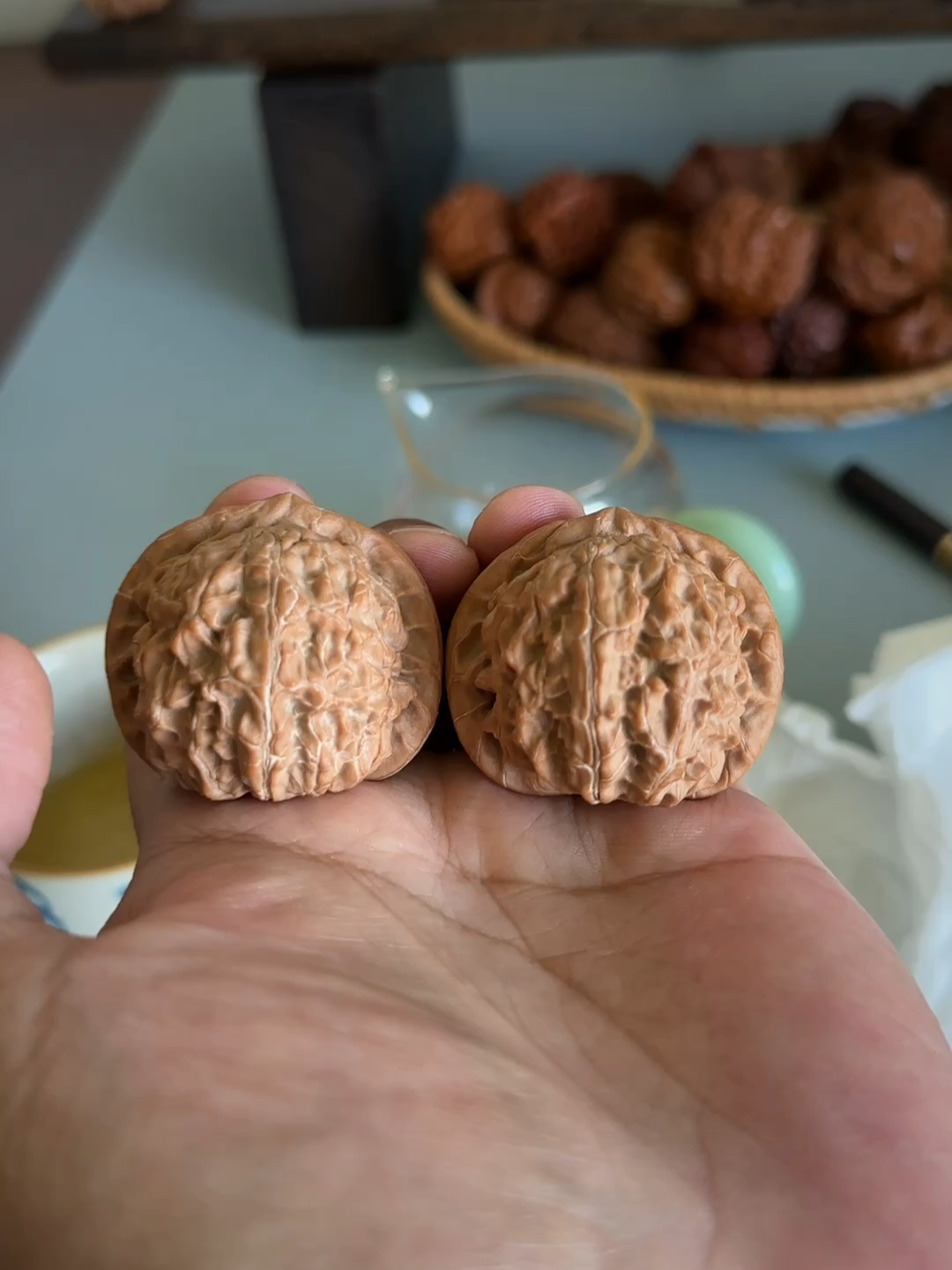 蓟县元宝,特别喜欢的一个元宝类品种