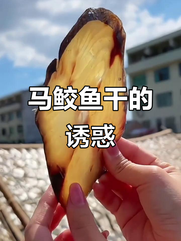 温州马鲛鱼干,鲜美可口,搭配酒饭皆宜