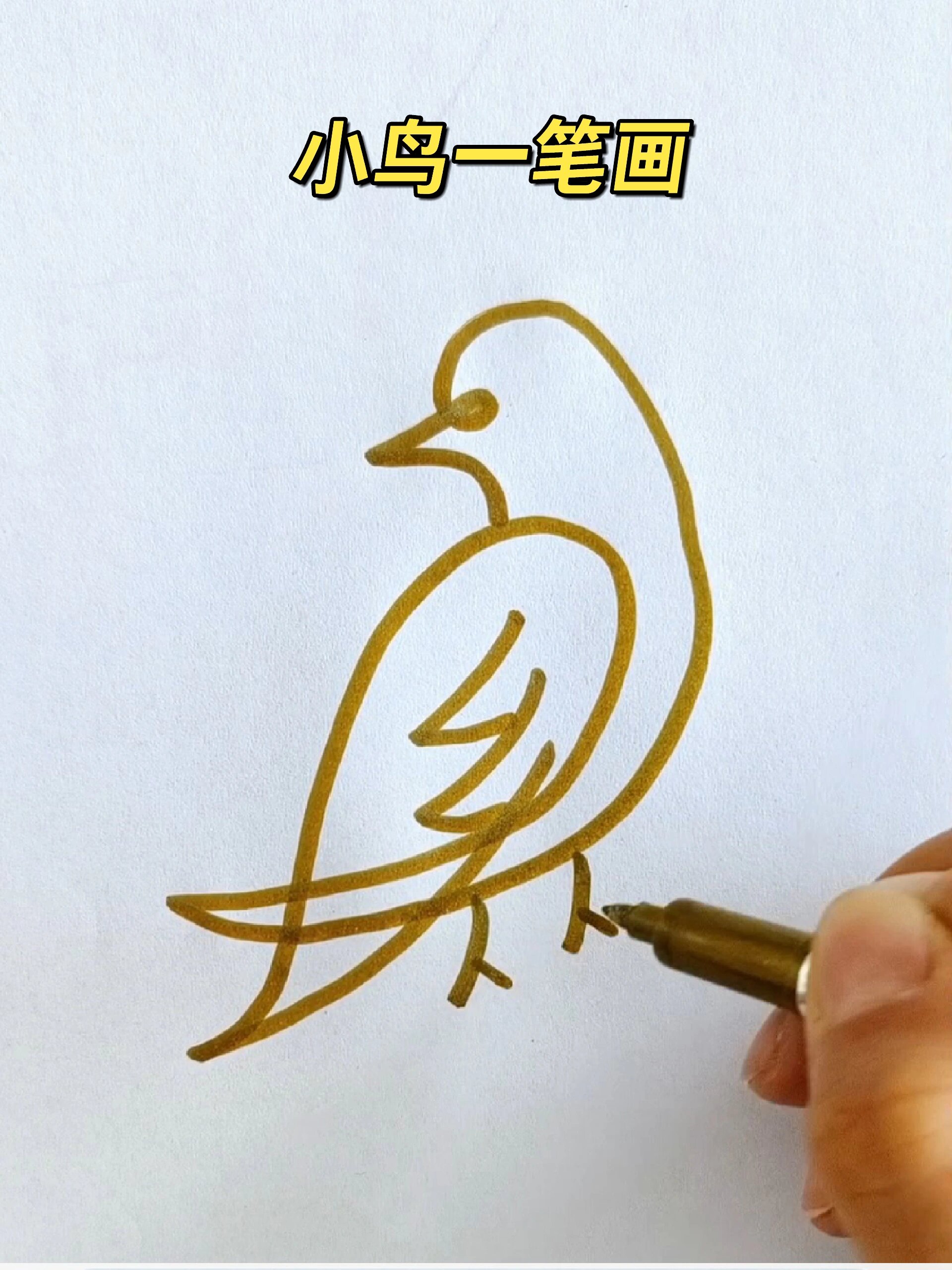 1一3岁小鸟画法及笔画图片