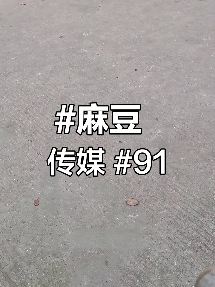 麻豆 传媒 91