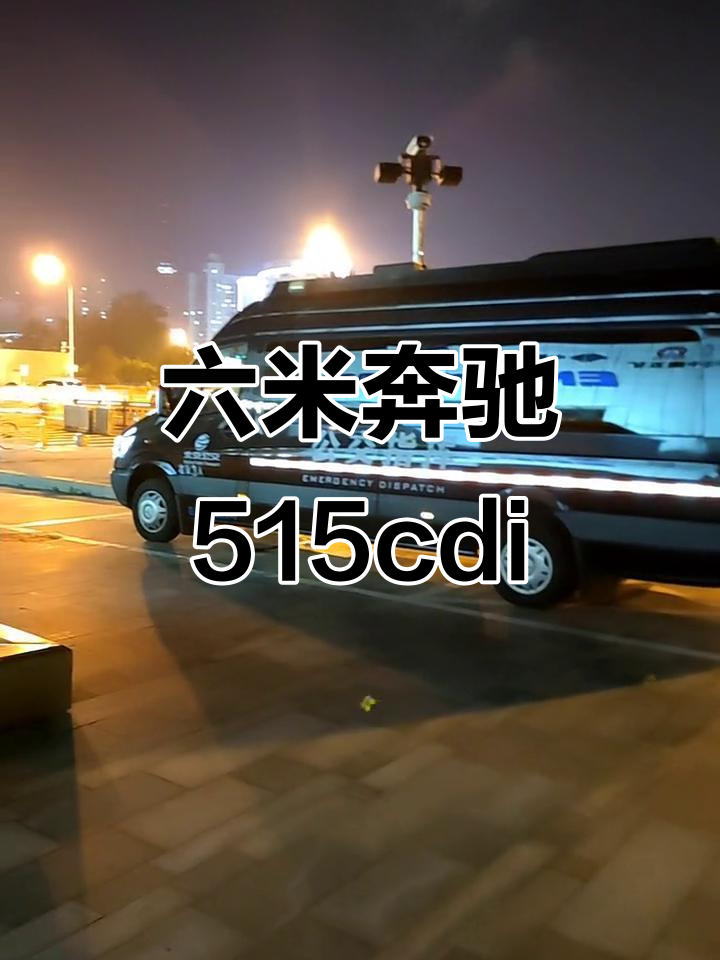 奔驰515cdi六米长车,一家三口旅游神器