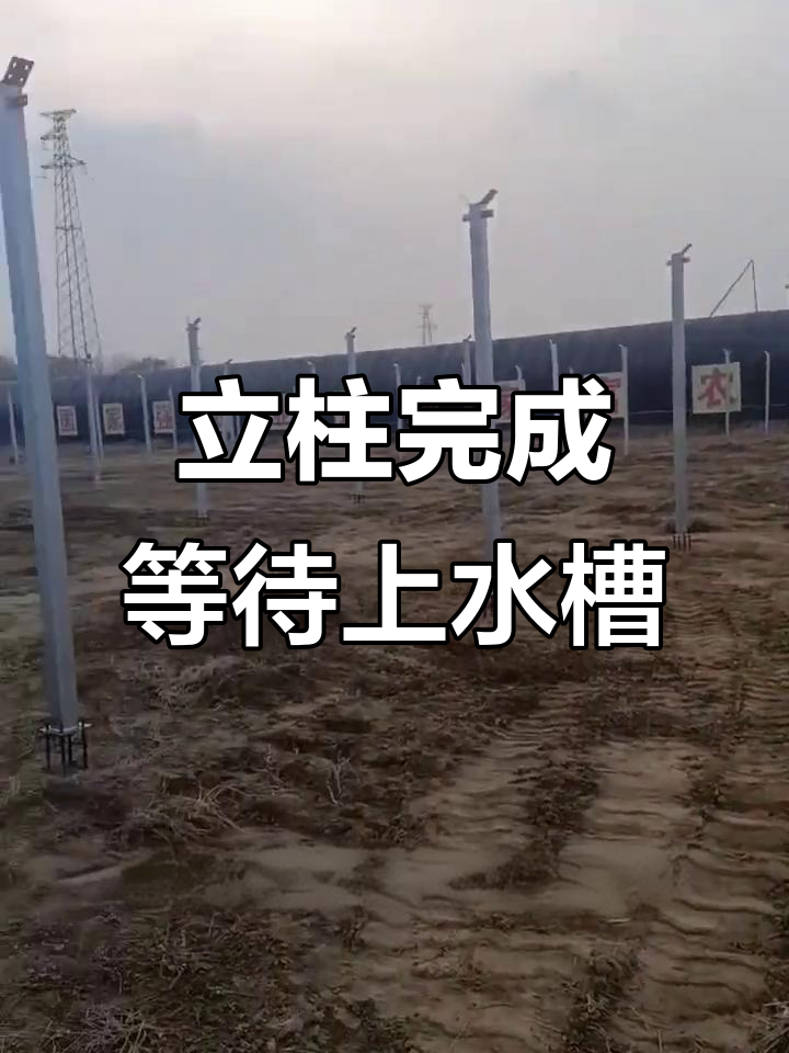 山东泰安立柱已完工,温室大棚建设进入新阶段