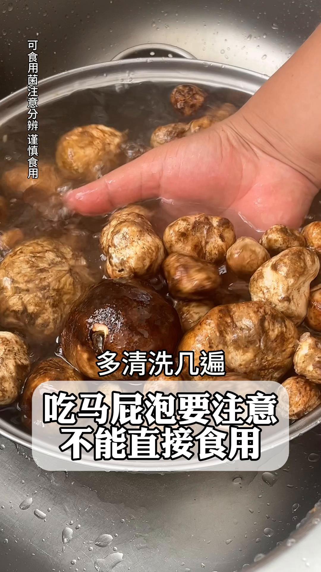 吃马屁泡要注意,不能直接食用