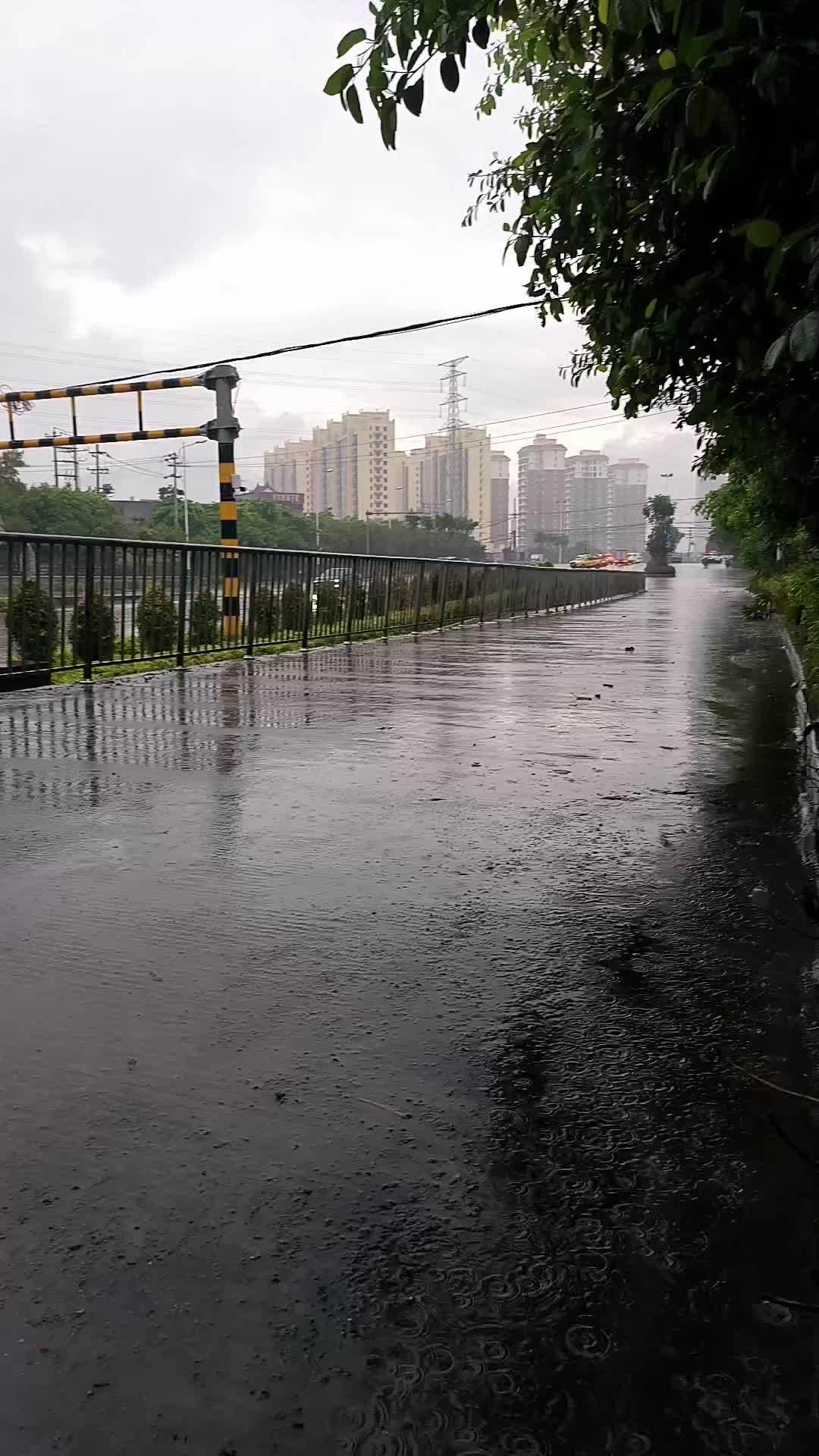 我的城市下雨了 站在飘雨的街头 愿你天黑有灯下雨有伞 下雨天你带伞