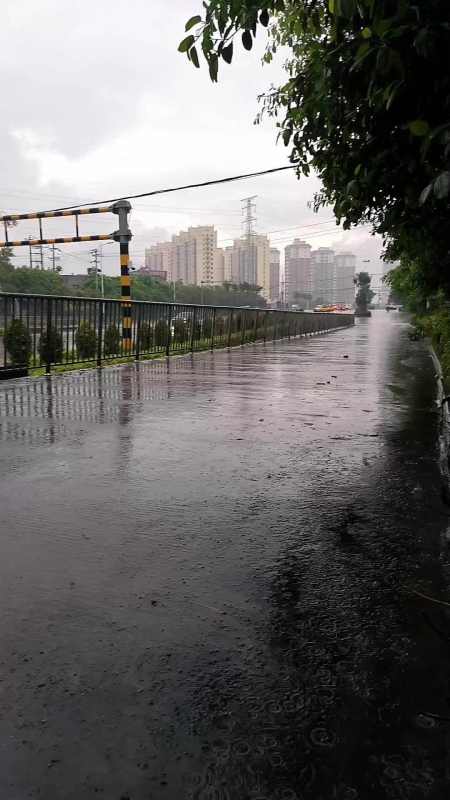 我的城市下雨了 站在飘雨的街头 愿你天黑有灯下雨有伞 下雨天你带伞