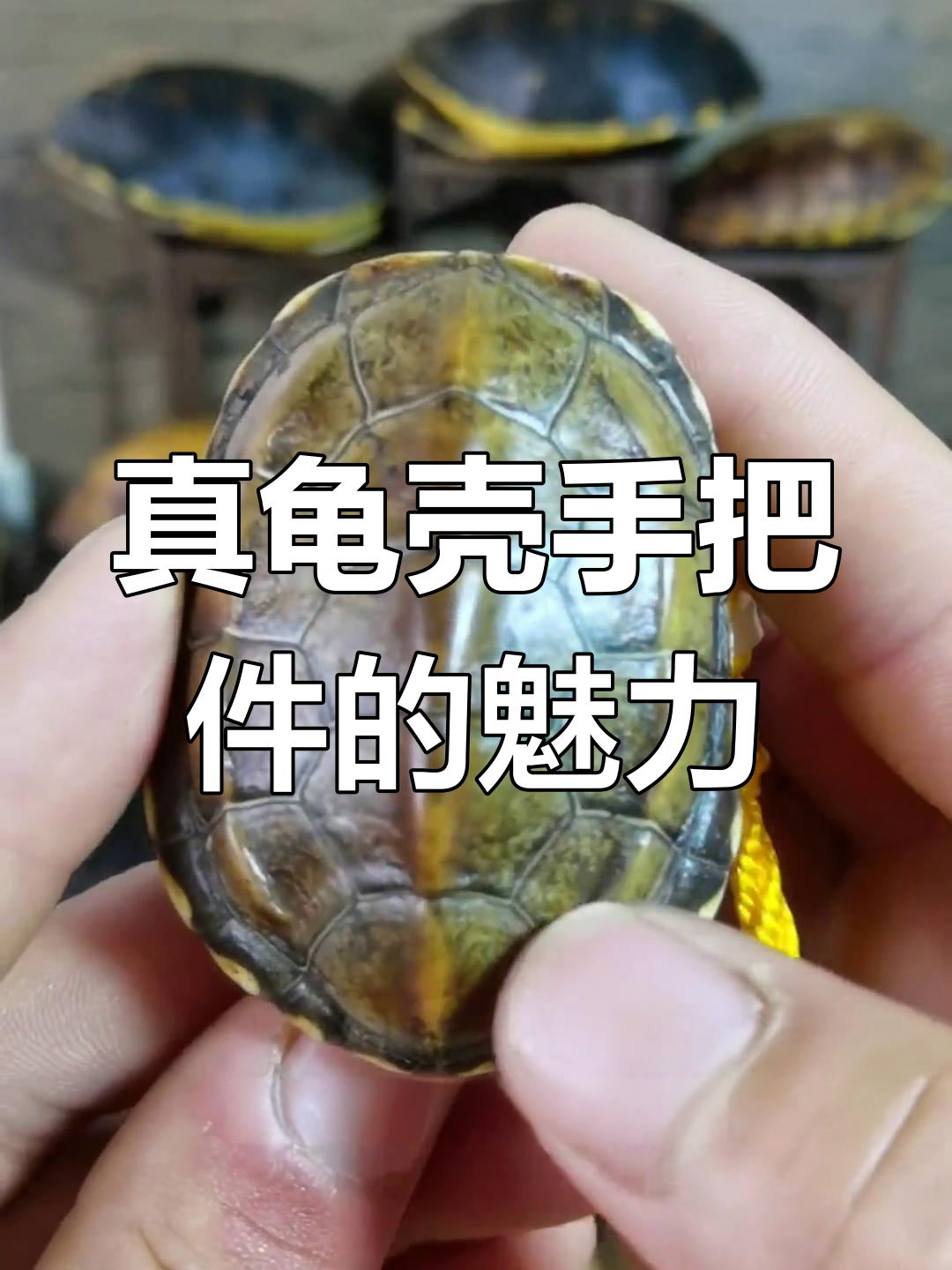 龟壳手把件:盘玩与寓意全解析