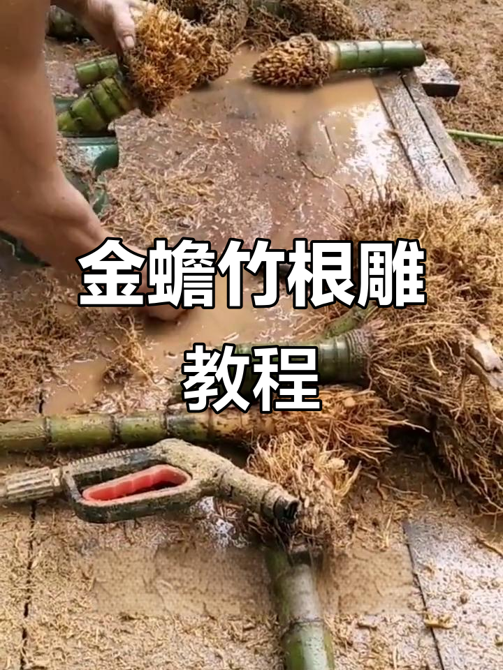 竹根雕金蟾制作揭秘:从选材到雕刻的完美过程