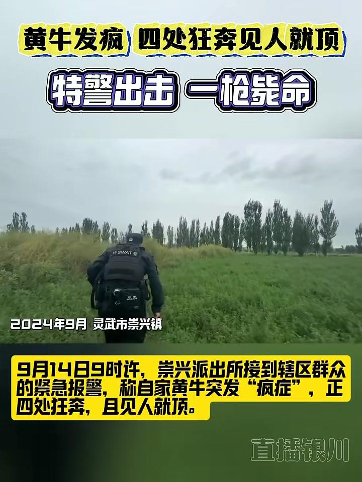 特警枪枪击案图片