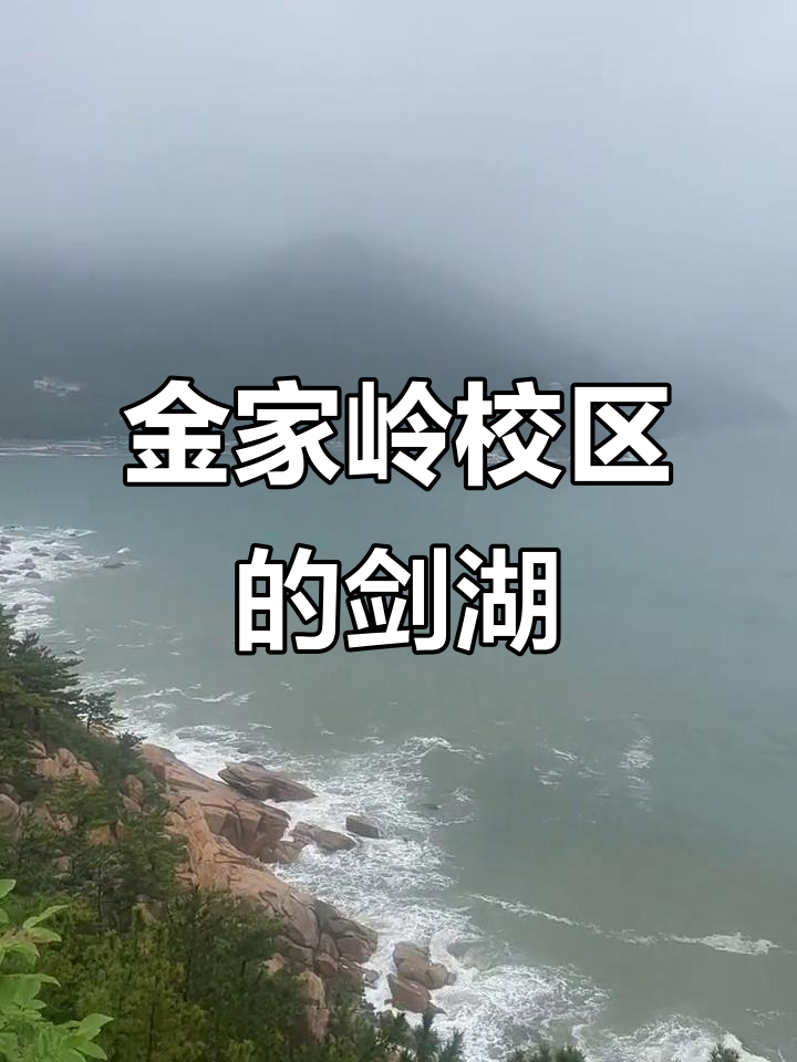 青岛大学金家岭校区剑湖美景,云雾缭绕如人间仙境