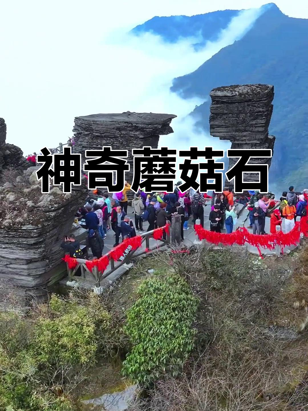 梵净山蘑菇石,奇特景观令人惊叹!