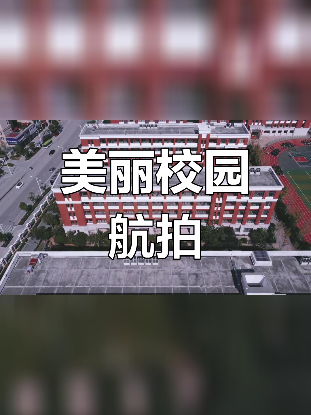 温州乐清市知临中学图片