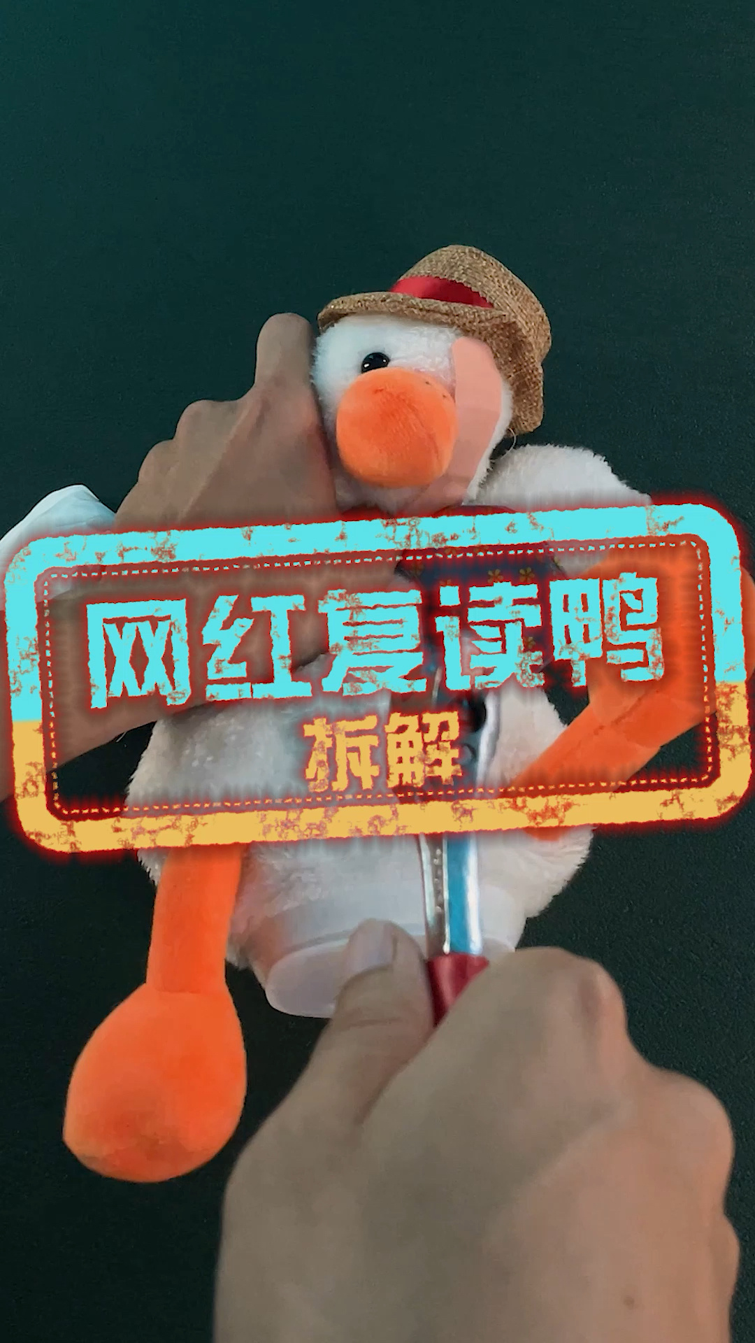 网红复读鸭,今天拆给你们看