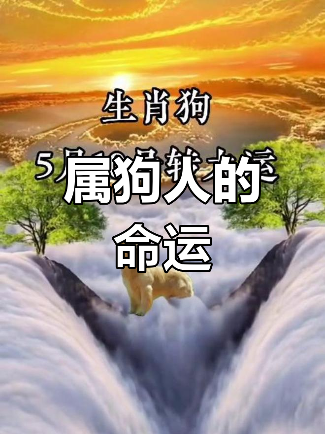 生肖狗过了27岁运势好(属狗的27岁是哪一年)
