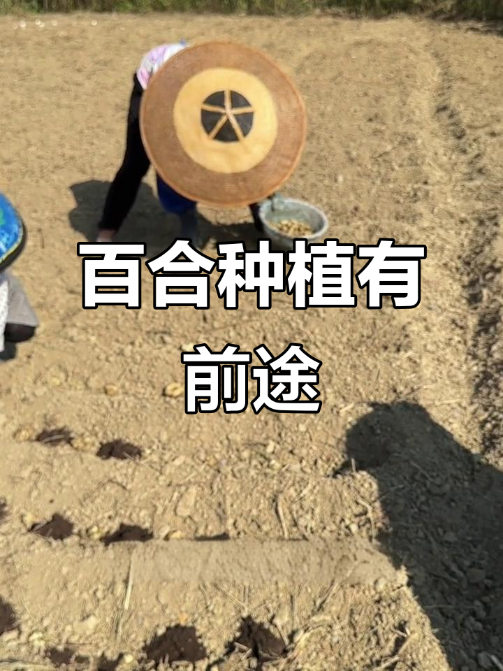 种植什么销路好(种植什么销路好赚钱)