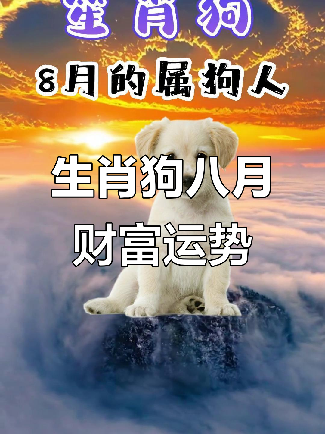 生肖狗的最近运势(生肖属狗运势)