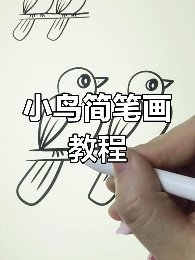 鸟儿的简笔画 步骤图片