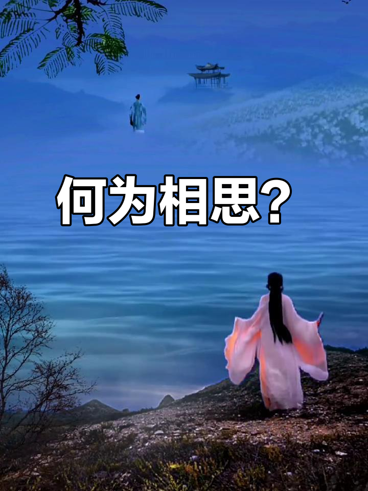 古诗词中的相思情怀,如梦似幻的动态壁纸