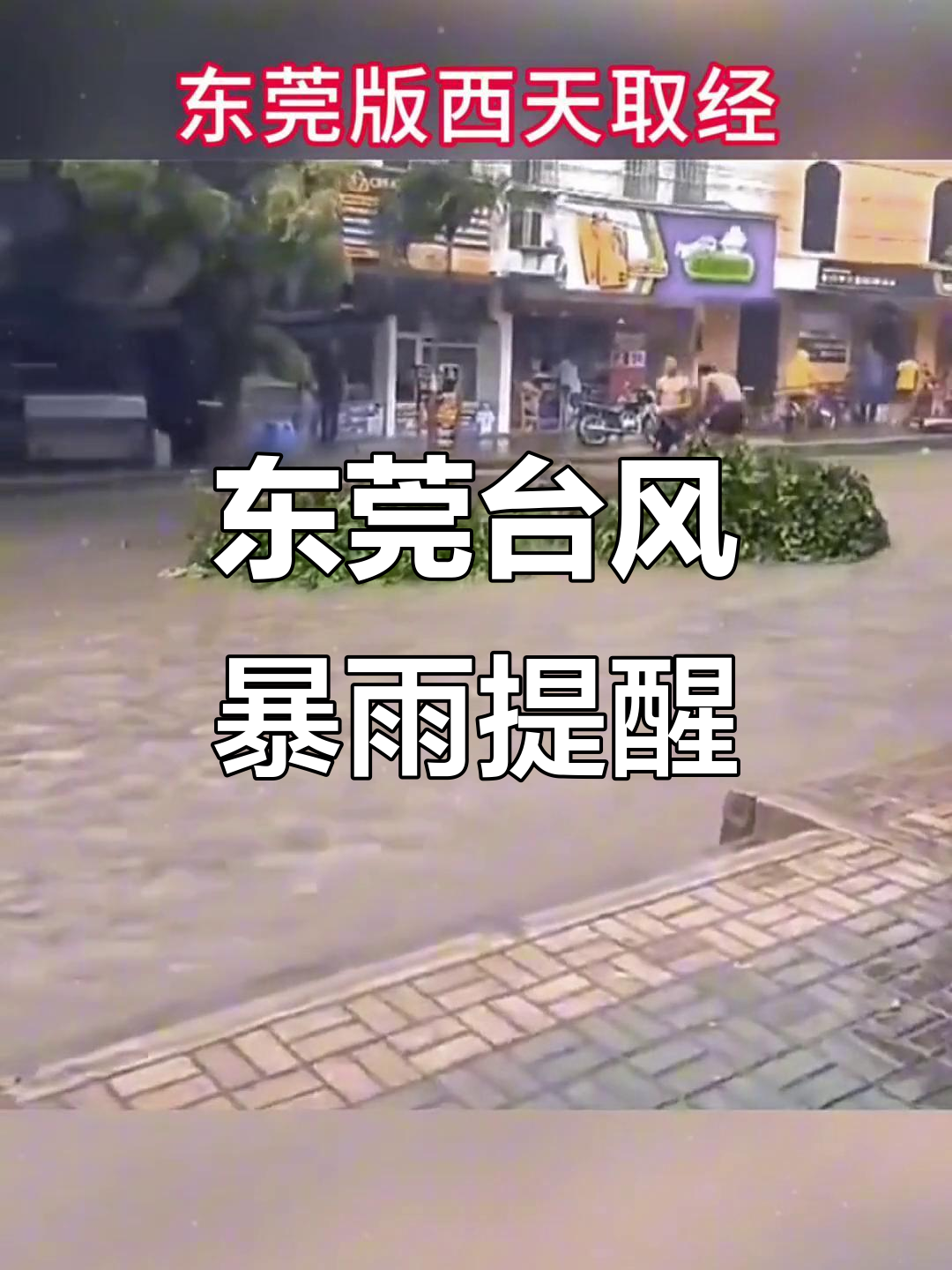 东莞实时天气预报预报
