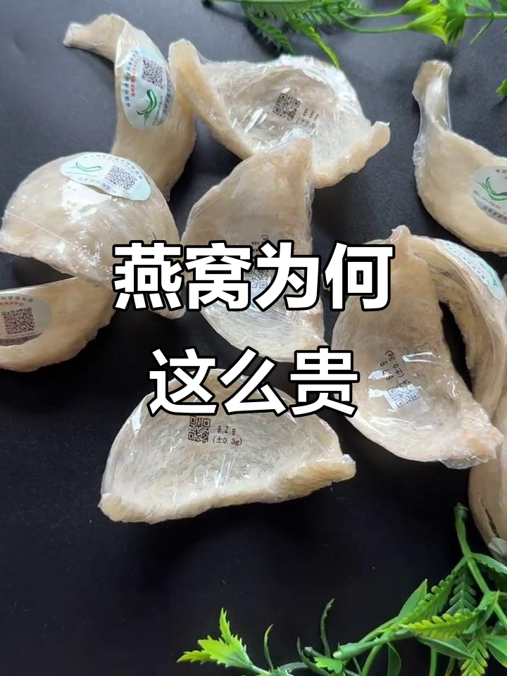 燕窝为什么这么贵