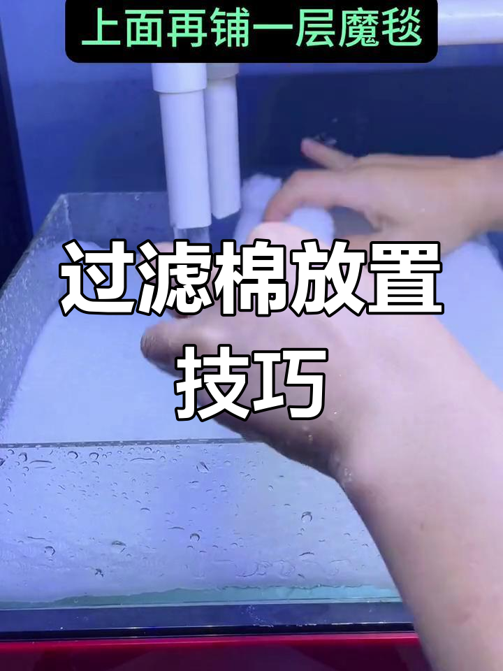 鱼缸过滤棉的正确摆放方法