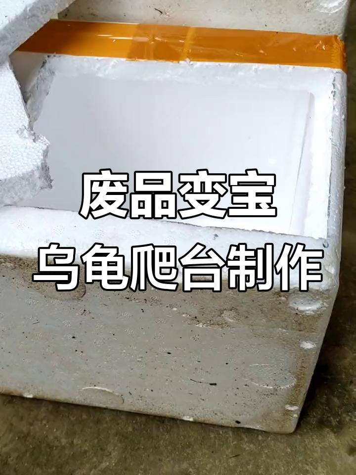利用废泡沫箱打造创意乌龟爬台,简单又有趣