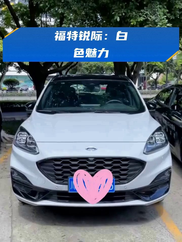 福特锐际:白色魅力