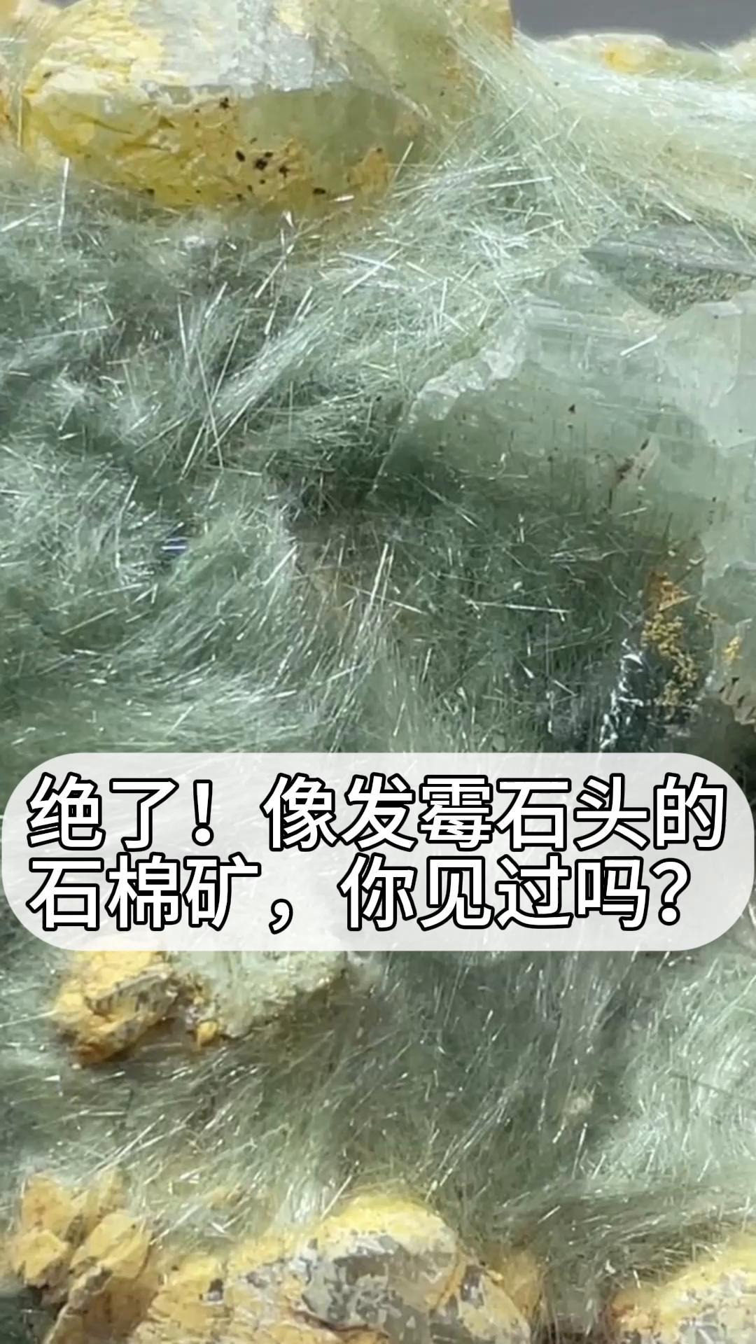 石棉有毒吗图片