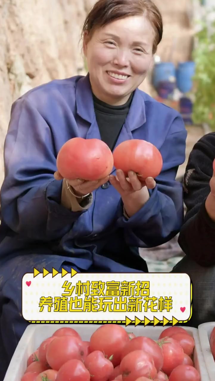农村怎么能致富(农村怎么能致富呢)
