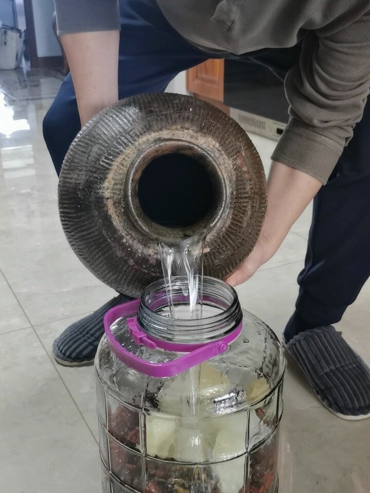 我宝出门第112天之泡酒金钩梨攻略