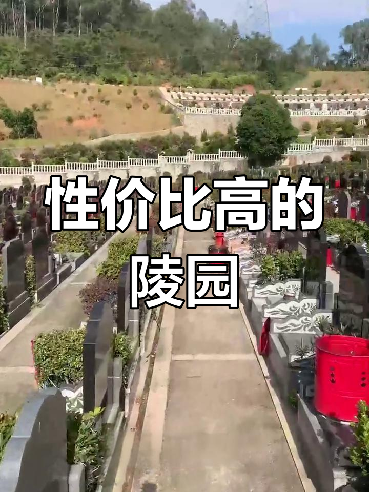 长青墓园:未来发展的新起点
