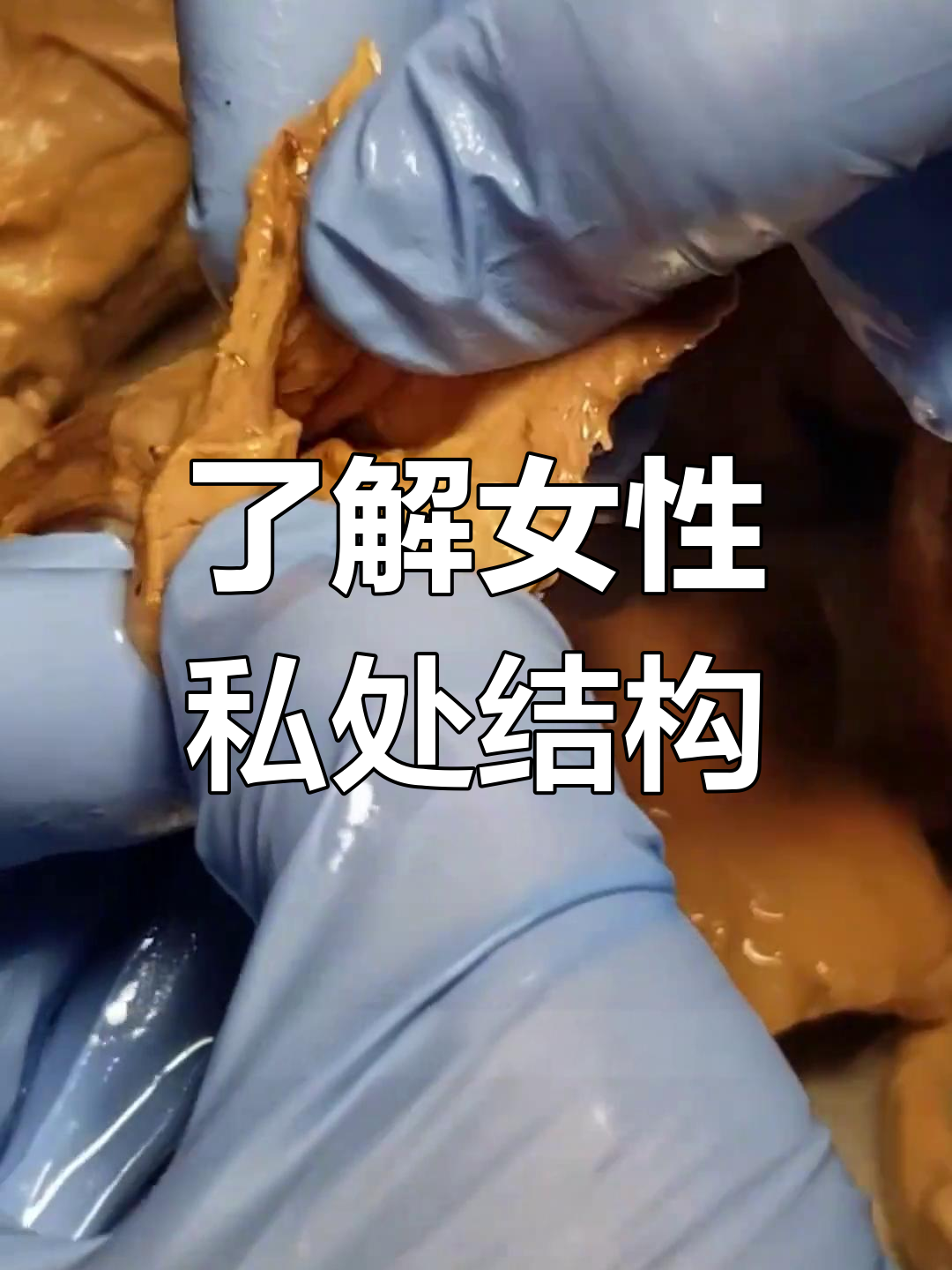 揭秘女性私密部位:弹性肌肉管道与皱壁变化