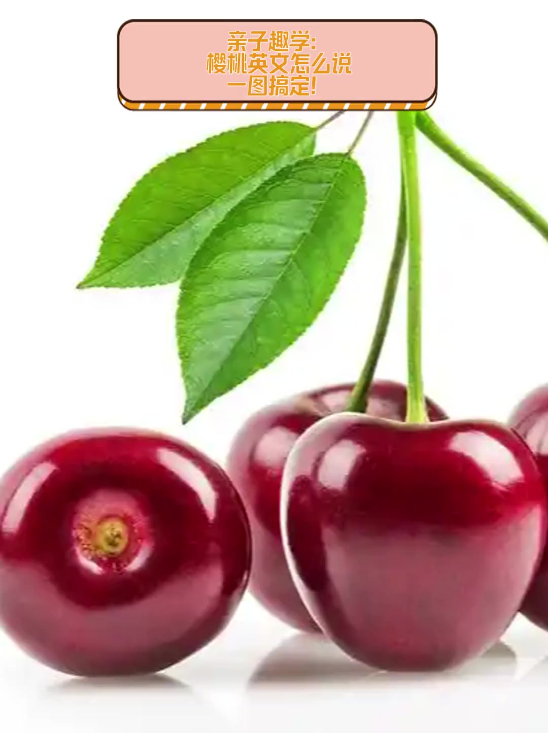 亲子趣学:樱桃英文怎么说,一图搞定!