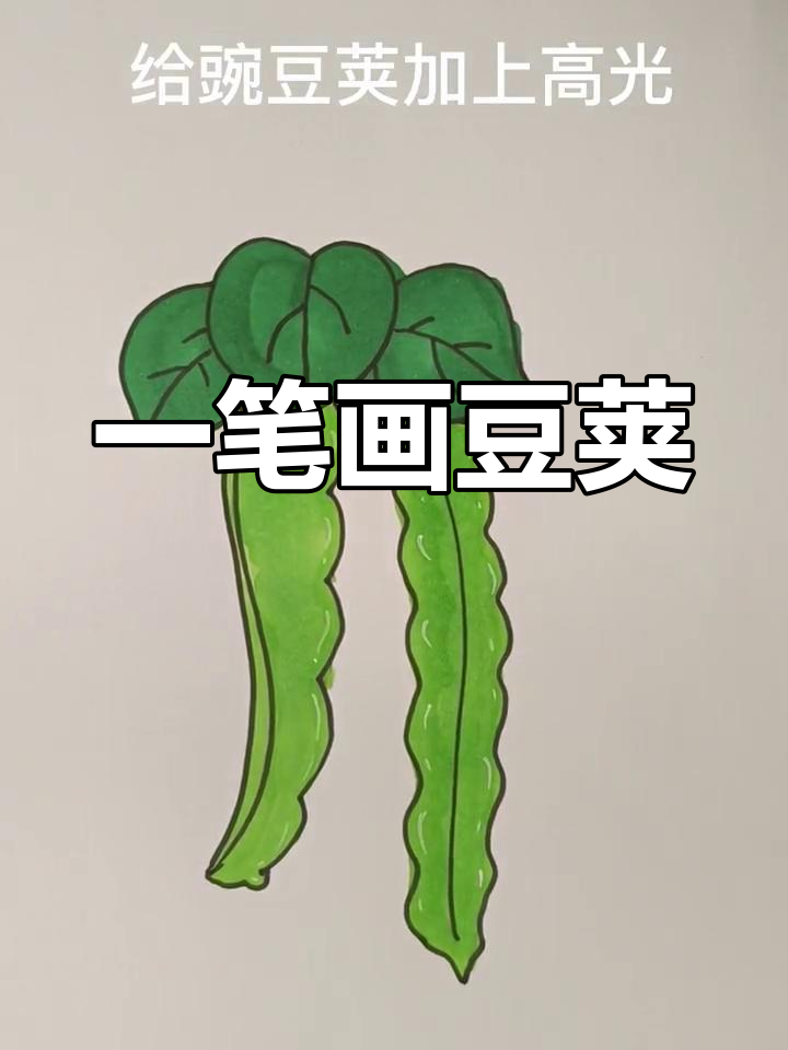 简单豆荚画法教程
