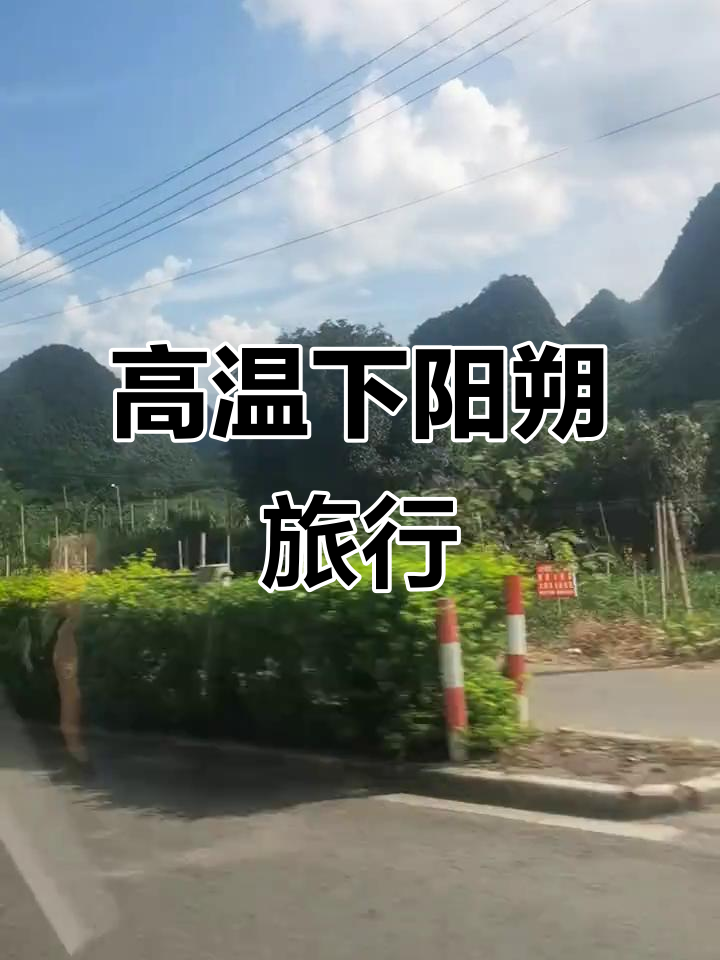 阳溯天气预报
