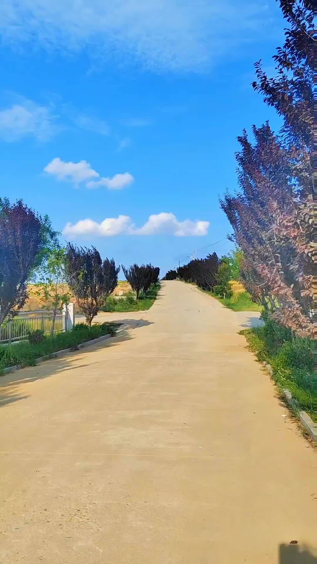 农村风景美感受大自然的气息和美景 治愈系风景