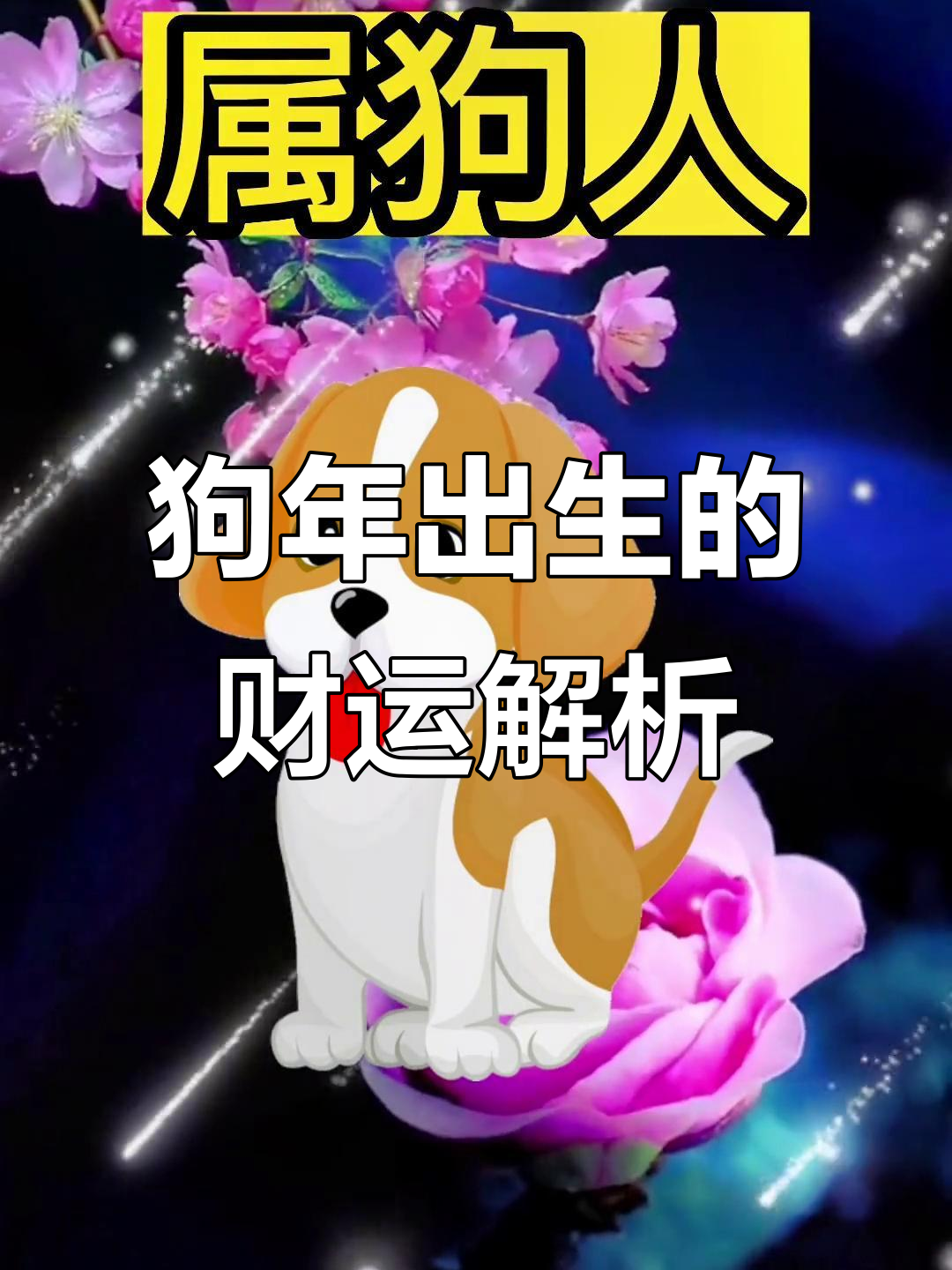 生肖狗未来九十天运势(生肖狗未来一周运势)