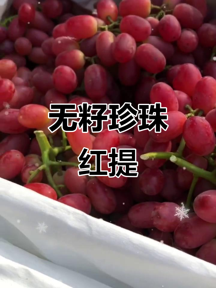 无籽珍珠红提,脆甜可口,宝宝轻松吃