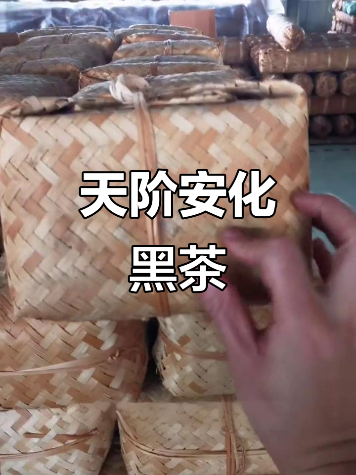 安化黑茶:天阶茶的独特制作工艺与品质传承