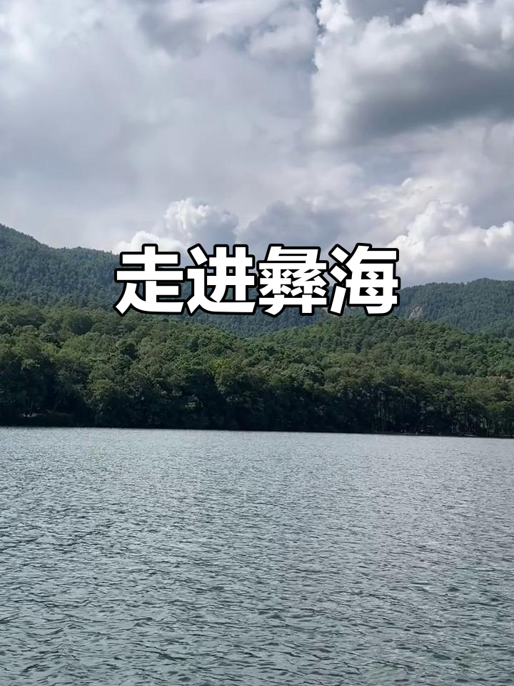 彝海天气预报
