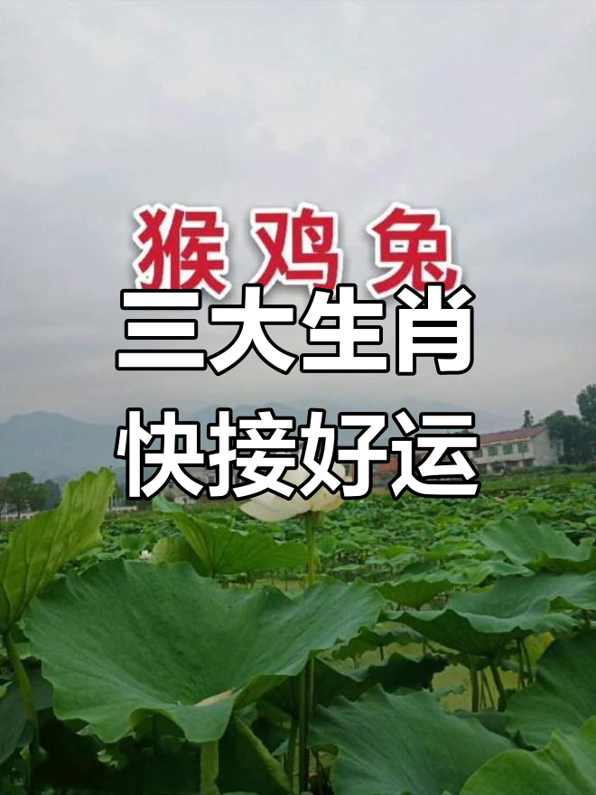 今晚打什么动物好(今晚生肖最准是什么动物)