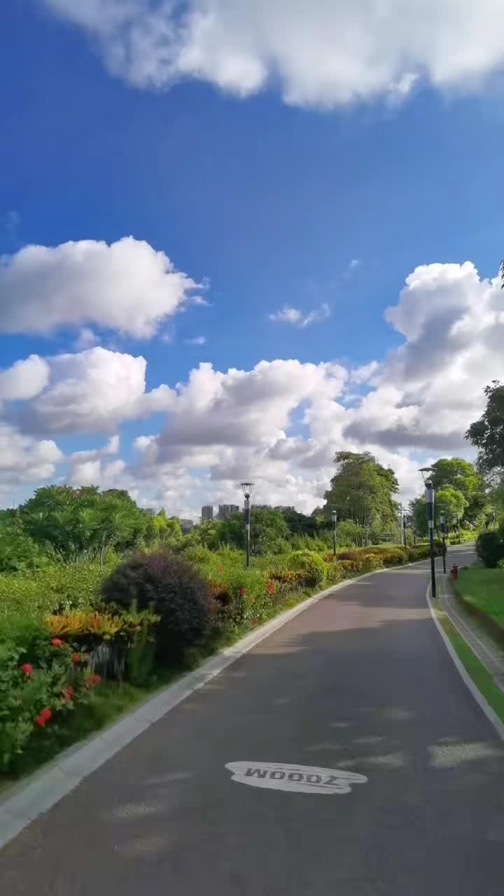 用一朵花的阳光看世界,是蓝天白云和空气