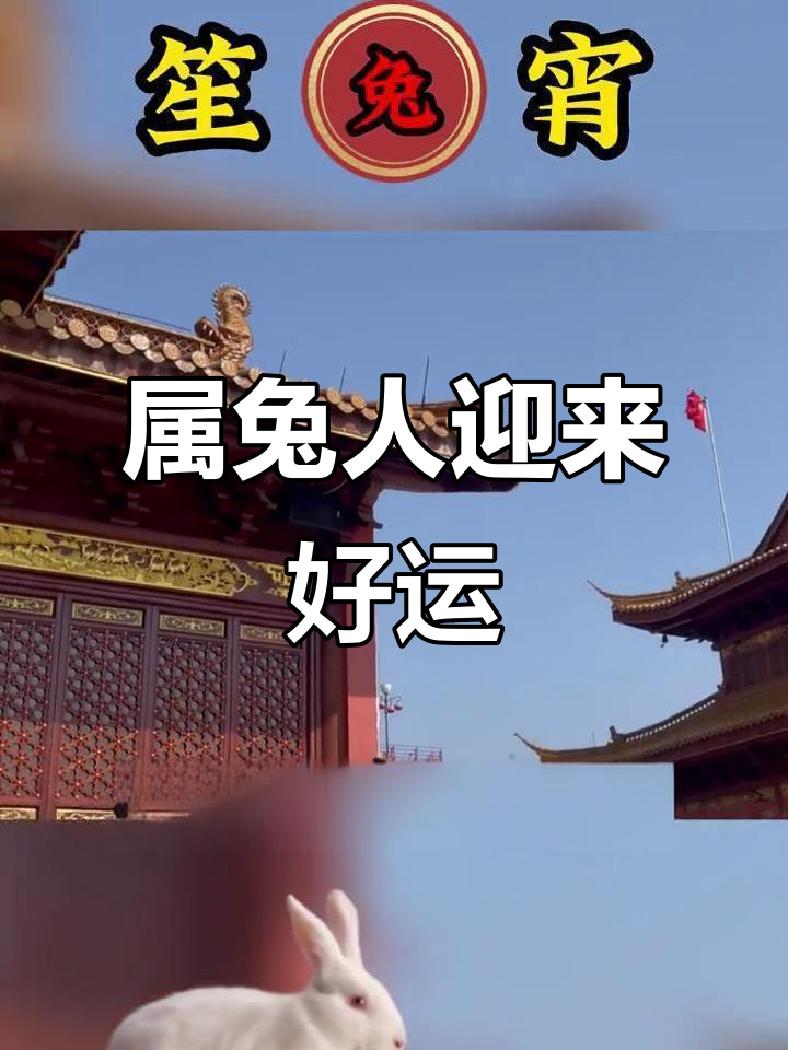 生肖兔女2023运势(属兔人2023年全年运势 女性)