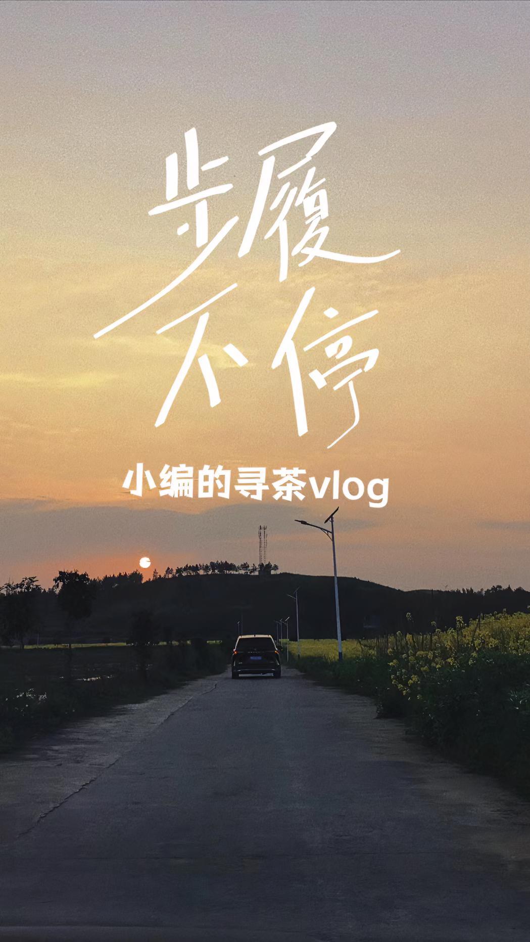 步履不停,小编的寻茶vlog……为家乡茶打call 源头优选在抖in 直播