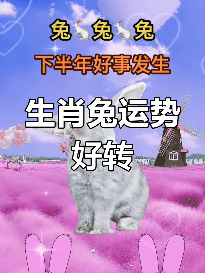生肖兔下半年的运势(生肖兔下半年运势2023年女)