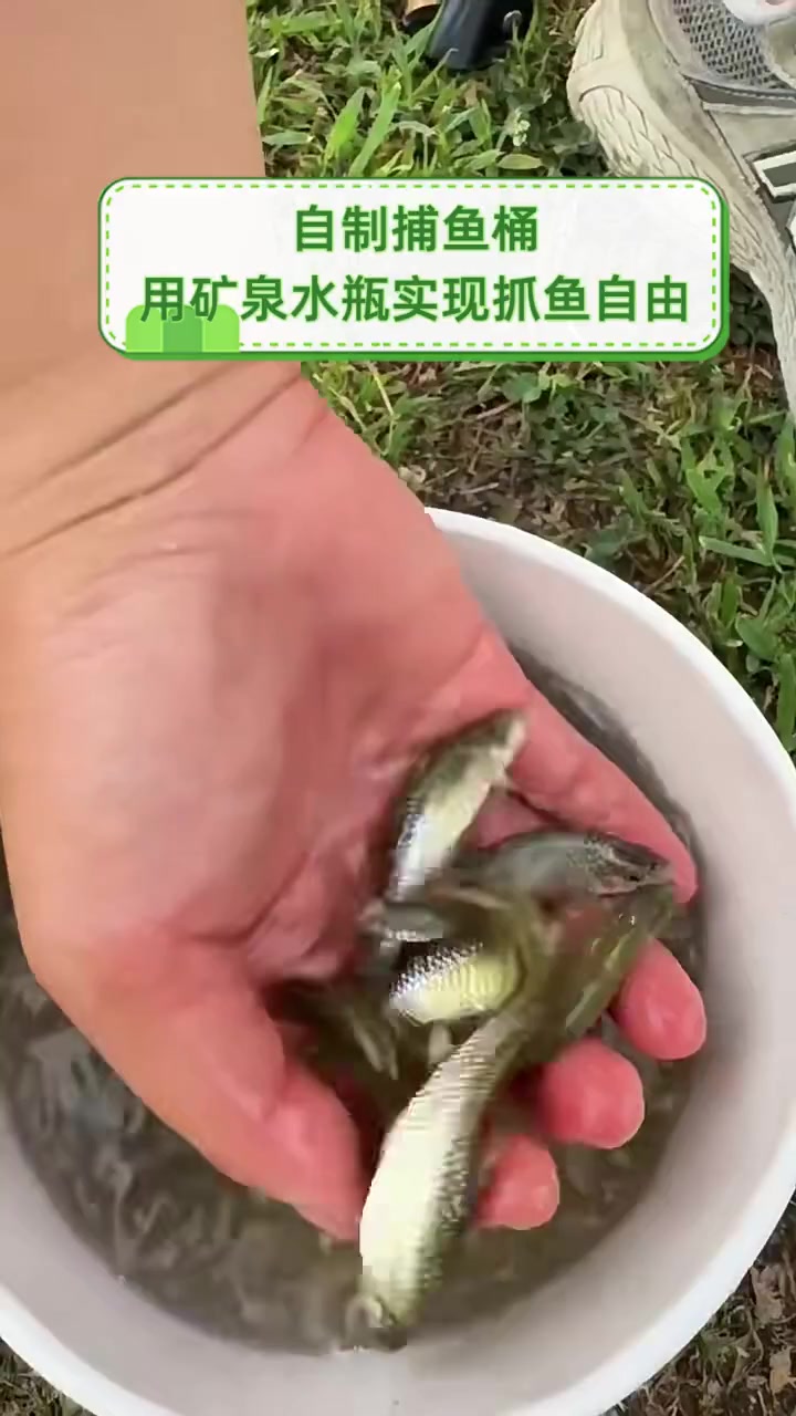 自制捕鱼桶,用矿泉水瓶实现抓鱼自由