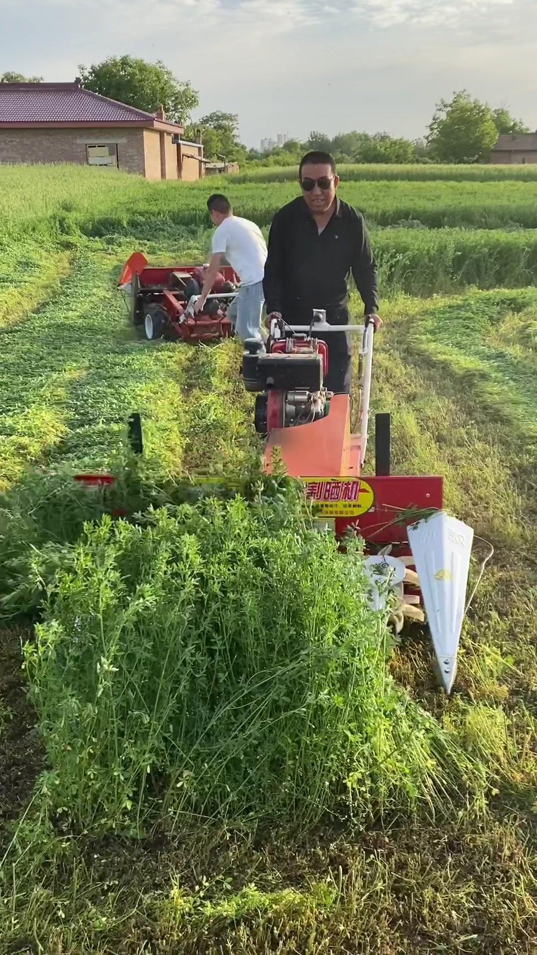 现在收割苜蓿真舒服 苜蓿收割机 农业机械 三农 割晒机 厂家直销