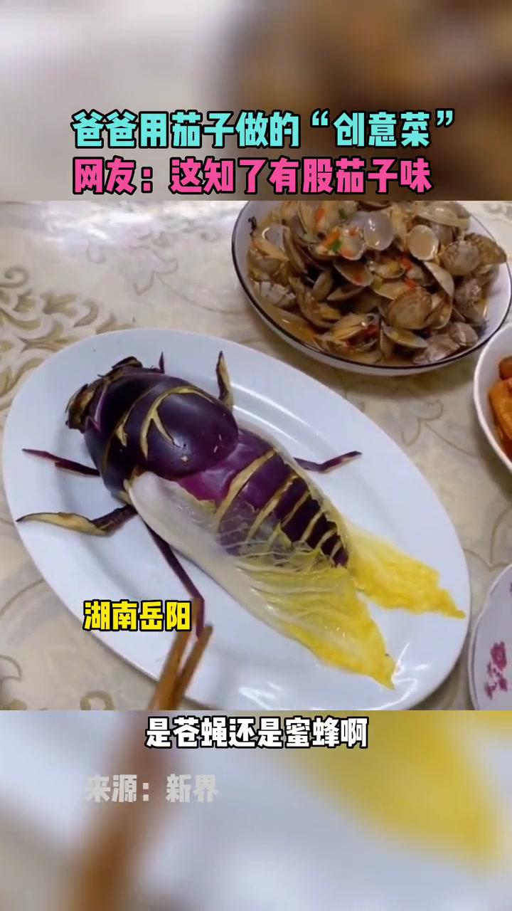 爸爸用茄子做的创意菜网友这知了有股茄子味