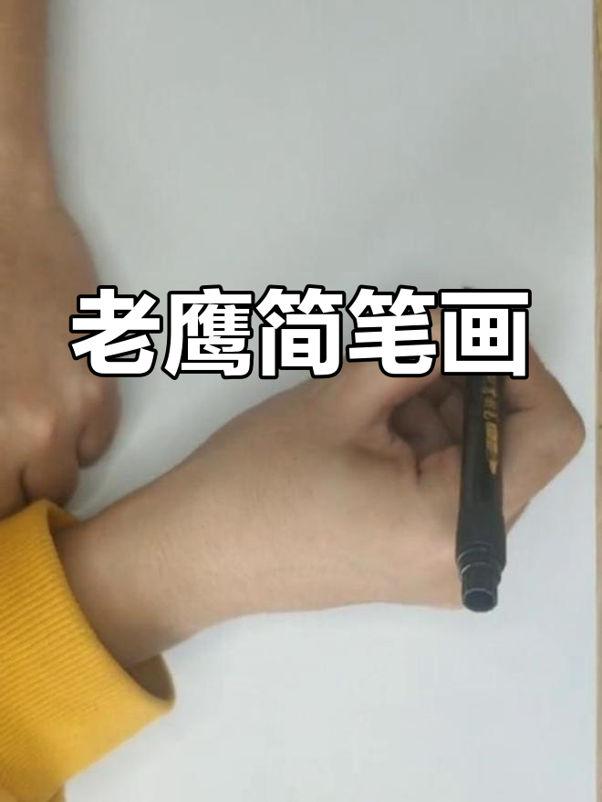 画老鹰捕猎的简笔画教程